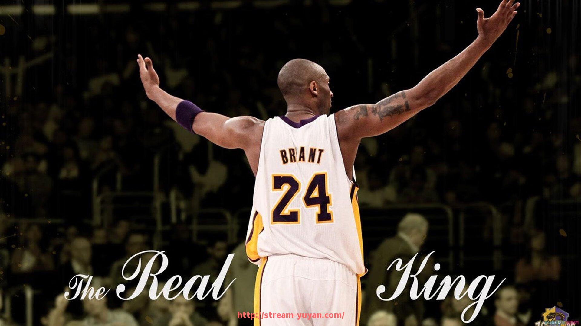 雨燕直播-世俱杯赛场气氛营造助力提升观赛体验