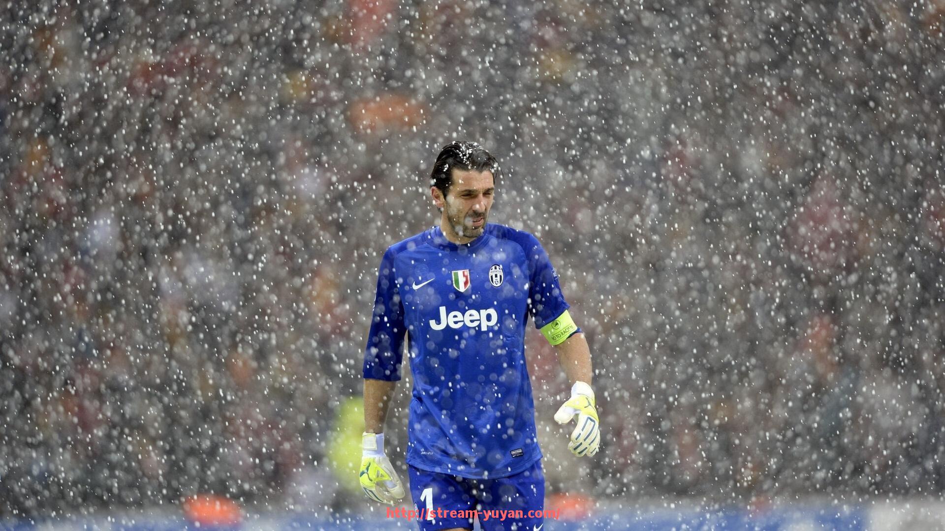 雨燕直播-室内健身器材使用步骤详解,居家体育训练规范