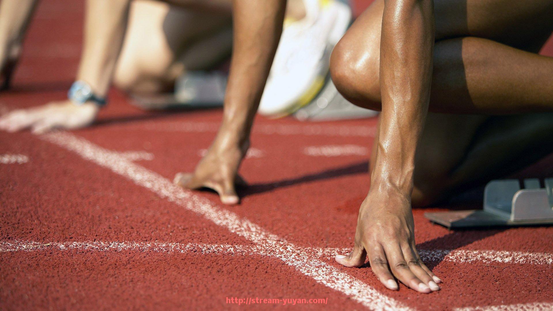 雨燕直播-尤文图斯欧冠奖金分配及球队收益分析
