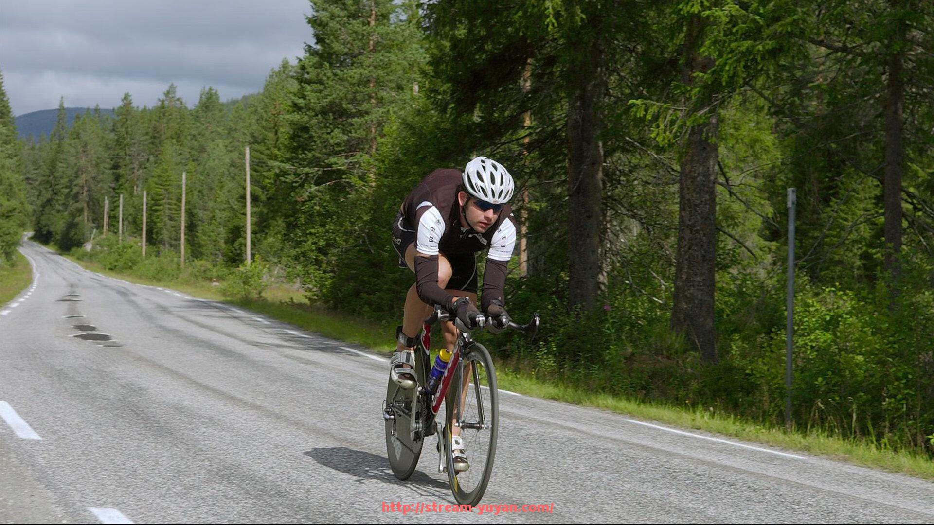 雨燕直播-欧冠直播出现篮球赛事?赛事播出错误频发引热议